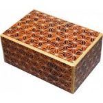 5 Sun 10 Step Akaasa Sale Coupon