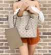 Gaby’s Bags Louis Vuitton Mahina Hina MM Tote Bag Galet Perforated Leather Grey + Pouch Coupon Sale