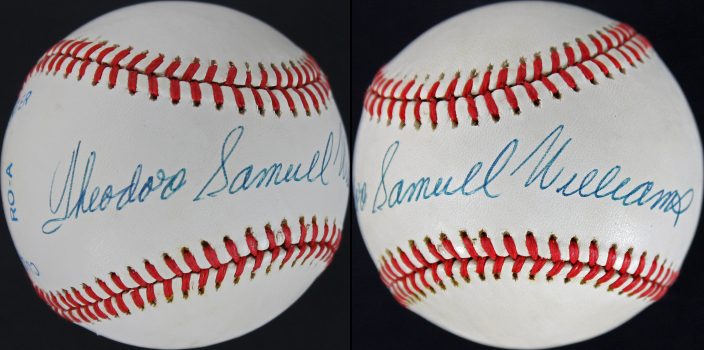 Ted “Theodore Samuel” Williams Signed Authentic OAL Baseball PSA/DNA #E67402 Sale Coupon