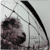 Eddie Vedder Signed Vs Album Cover W/ Vinyl Auto Graded Gem Mint 10! PSA #V09700 Sale Coupon