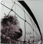 Eddie Vedder Signed Vs Album Cover W/ Vinyl Auto Graded Gem Mint 10! PSA #V09700 Sale Coupon