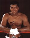 Muhammad Ali Signed “Cassius Clay” Authentic 11X14 Photo PSA/DNA ITP #7A71482 Sale Coupon