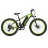 LANKELEISI XF4000 Electric Bike 48V 1000W Motor 16Ah Battery Green Sale Coupon