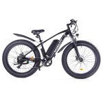 Niubility B26 Electric Bicycle 48V 125Ah Battery 1000W Motor Black Sale Coupon