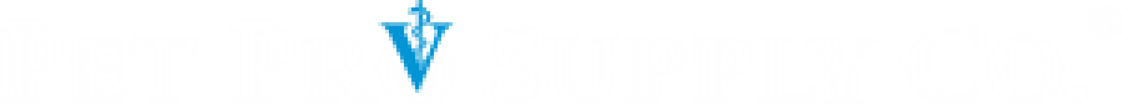 Options to add Sale Coupon