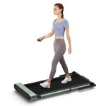 WalkingPad R1H  2IN1 Walk& Run Foldable Treadmill Sale Coupon