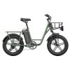 FIIDO T1 Cargo Electric Bike 750W Power 50kmh Max Speed Green Sale Coupon