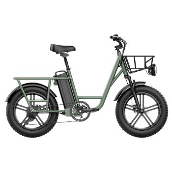 FIIDO T1 Cargo Electric Bike 750W Power 50kmh Max Speed Green Sale Coupon