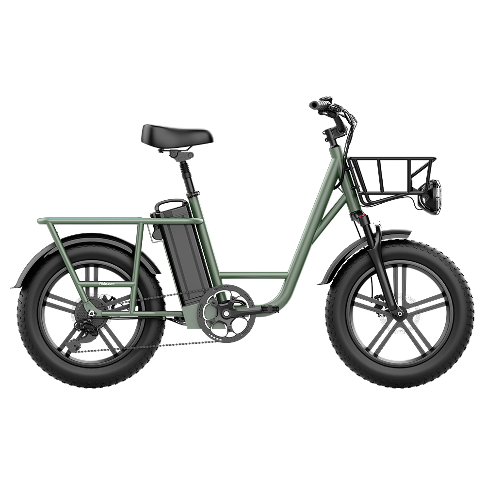 FIIDO T1 Cargo Electric Bike 750W Power 50kmh Max Speed Green Sale Coupon