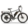 BAM Urban Electric Bicycle – Black Best Discount