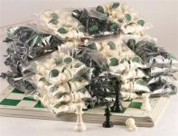 Deluxe Chess Sets 20-Pack (up to 40 players) on Sale Coupon From The Real Masters Of Chess