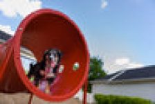 BarkPark by Ultrasite Best in Show Dog Park Kit Sale Coupon