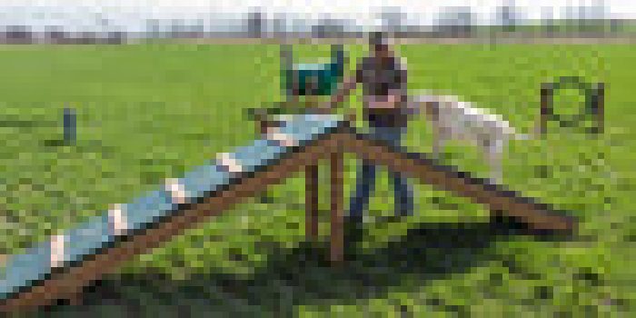 BarkPark by UltraSite Hilltop Challenge Sale Coupon