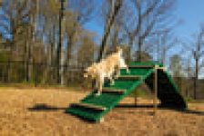 BarkPark by UltraSite King of the Hill Sale Coupon