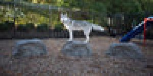 BarkPark by Ultrasite Nature Bark – Stepping Boulders Sale Coupon