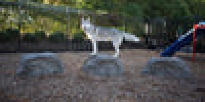 BarkPark by Ultrasite Nature Bark – Stepping Boulders Sale Coupon