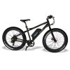Emojo Wildcat Electric Mountain Bike – Black Best Discount