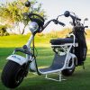 Fat Tire Electric Golf Scooter Best Discount