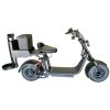 2021 Fat Tire Golf Scooter Rebel XR Best Discount