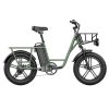 FIIDO T1 Cargo Electric Bike 750W Power 50kmh Max Speed  Green Sale Coupon