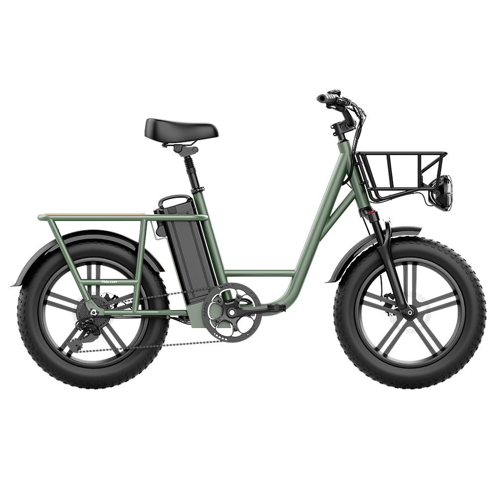 FIIDO T1 Cargo Electric Bike 750W Power 50kmh Max Speed  Green Sale Coupon