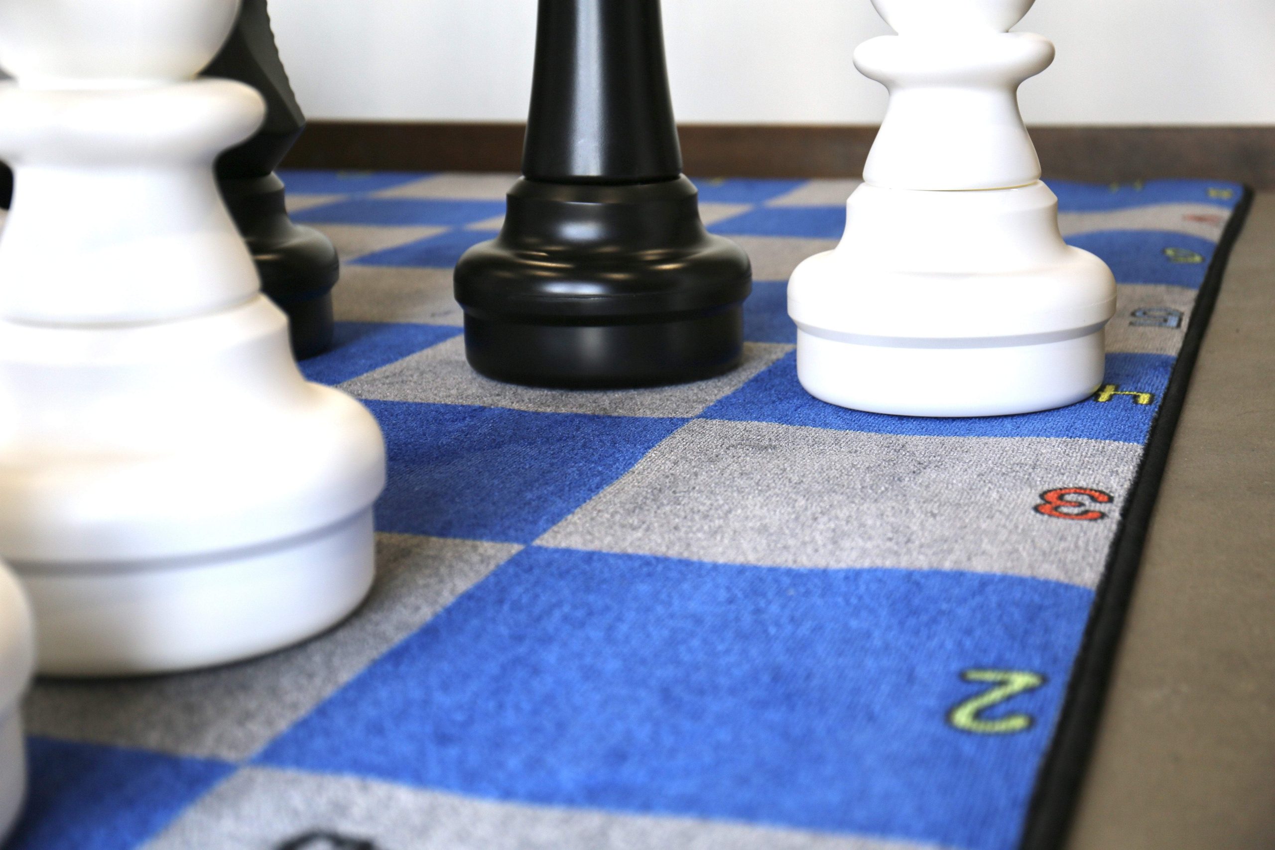 Giant Chess Nylon Carpet Mat – 8 Foot (School Certified) Chess4Life on Sale Coupon From The Real Masters Of Chess