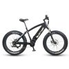 QuietKat FatKat Warrior Electric Fat Tire Bicycle – QKM1000 – Black Best Discount