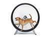 GoPet CS8022 Indoor/Outdoor Treadwheel for Extra Large Dogs Sale Coupon