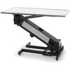 VetLift Electric Veterinary Exam Table / Extra Low Height Sale Coupon