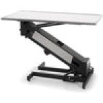 VetLift Electric Veterinary Exam Table / Extra Low Height Sale Coupon