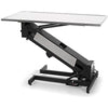VetLift Electric Veterinary Exam Table / Extra Low Height Sale Coupon