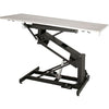 VetLine Veterinary Exam Table with Animal Scale and Storage Sale Coupon